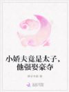 小娇夫竟是太子,他强娶豪夺