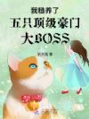 ҲֻŴBOSS