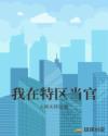 我在特区当官